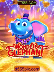 Descubra o Fascinante Mundo de WonderElephant